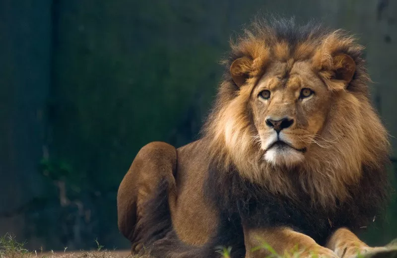 Namíbia Luxo by Wilderness